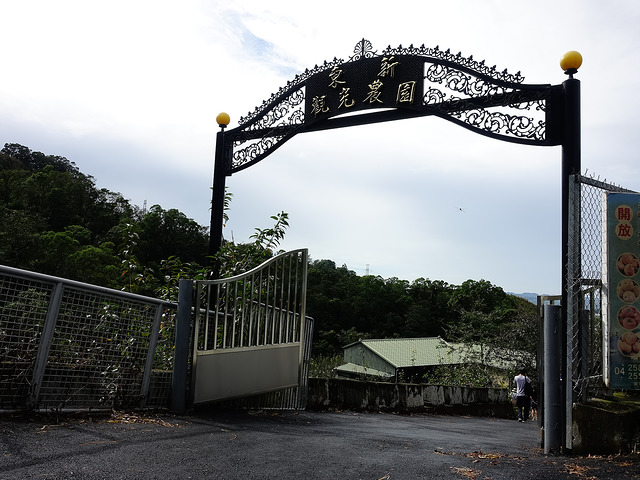 東勢東新觀光果園