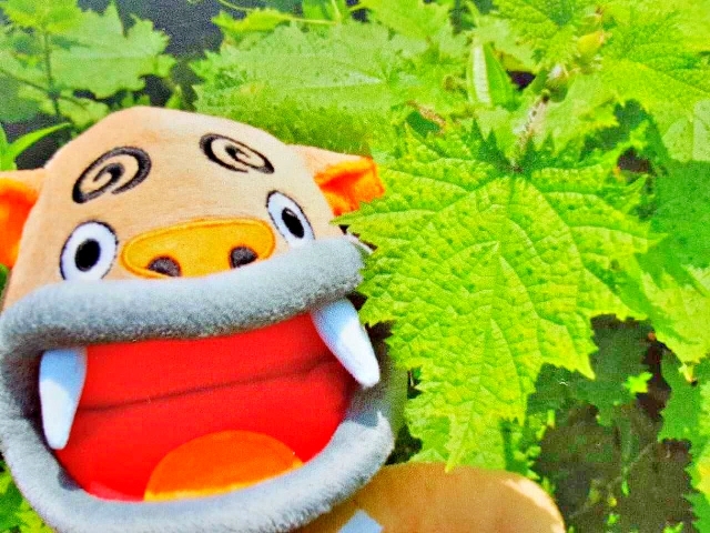 【南投酒店。台灣】《妖怪村主題飯店》南投溪頭松林町, 陰森鬼怪的《明山森林會館》, 村民造型有趣古怪